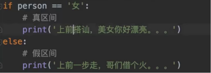 图片[2]-1.2流程控制-分支结构-gis及编程资源分享