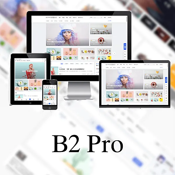 B2 PRO主题 多功能商用主题 